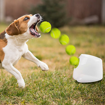 Dog Ball Launcher Thrower Automatic Tennis Fetch Throwing Machine 3 Balls Randy & Travis Machinery